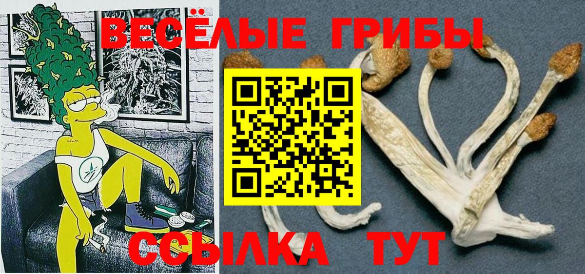 даркнет сайт  Галлюциногенные грибы MAGIC MUSHROOMS  Вход с VPN  Пушкино 